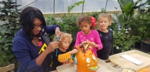 Pumpkin Carving 2018